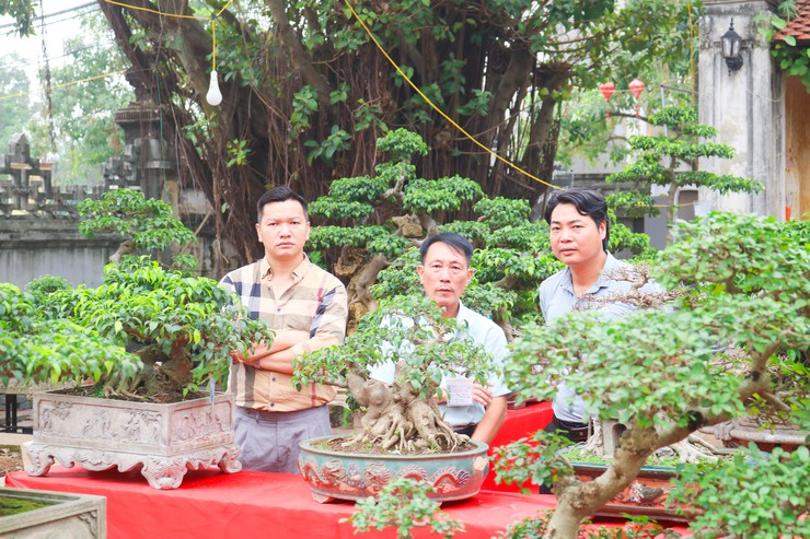 Khai mạc trưng bày giao lưu cây cảnh bon sai nghệ thuật xuân Bính Ngọ 2026- Ảnh 30.