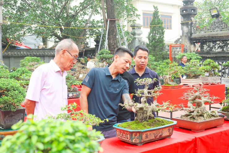Khai mạc trưng bày giao lưu cây cảnh bon sai nghệ thuật xuân Bính Ngọ 2026- Ảnh 31.