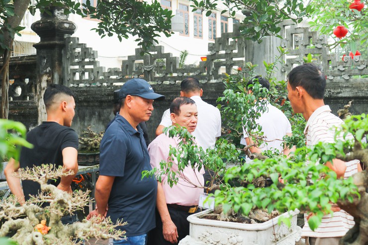 Khai mạc trưng bày giao lưu cây cảnh bon sai nghệ thuật xuân Bính Ngọ 2026- Ảnh 32.