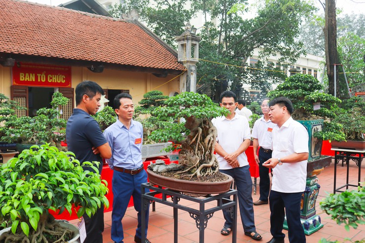 Khai mạc trưng bày giao lưu cây cảnh bon sai nghệ thuật xuân Bính Ngọ 2026- Ảnh 33.