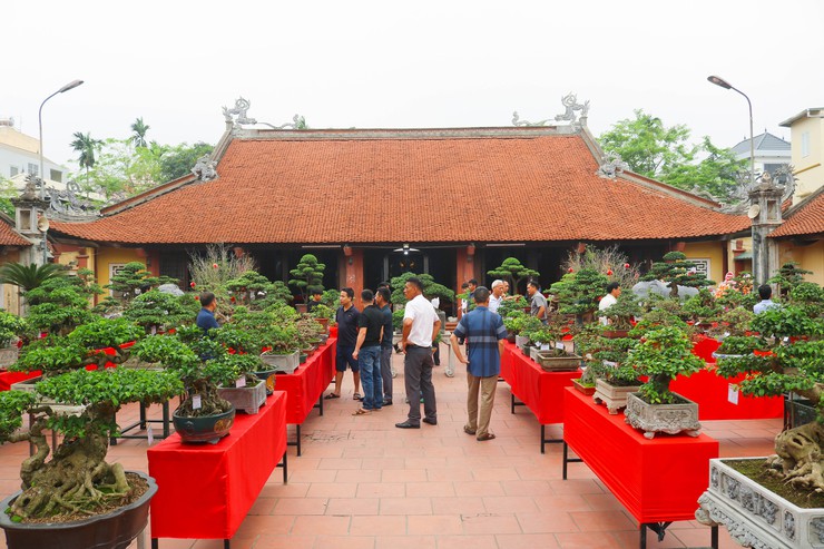 Khai mạc trưng bày giao lưu cây cảnh bon sai nghệ thuật xuân Bính Ngọ 2026- Ảnh 34.