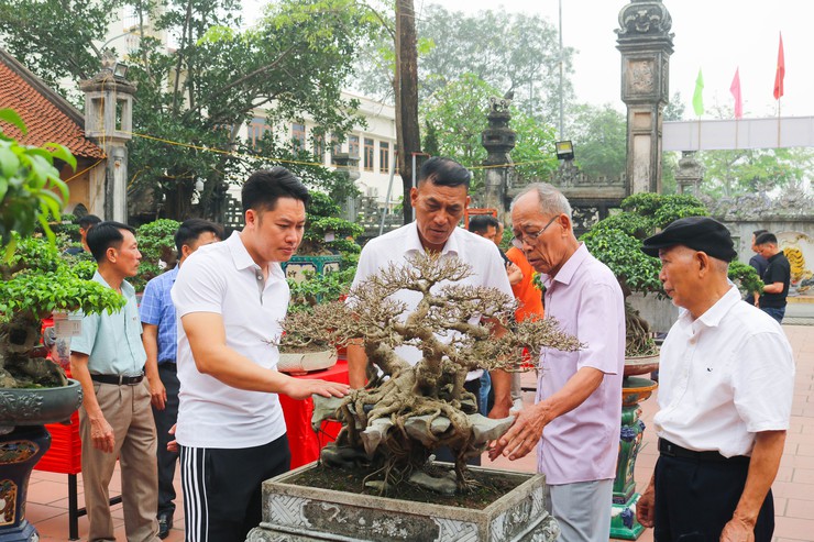 Khai mạc trưng bày giao lưu cây cảnh bon sai nghệ thuật xuân Bính Ngọ 2026- Ảnh 35.