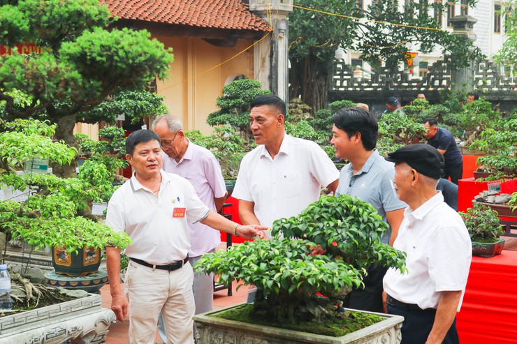 Khai mạc trưng bày giao lưu cây cảnh bon sai nghệ thuật xuân Bính Ngọ 2026- Ảnh 36.