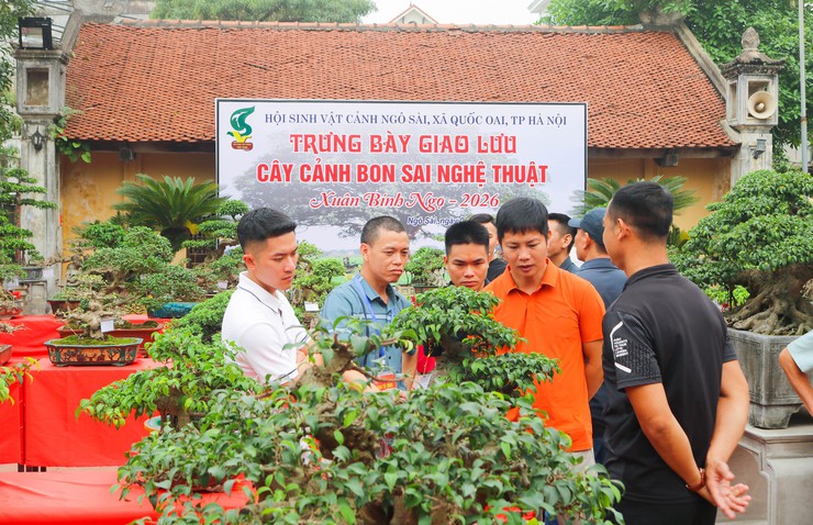 Khai mạc trưng bày giao lưu cây cảnh bon sai nghệ thuật xuân Bính Ngọ 2026- Ảnh 37.