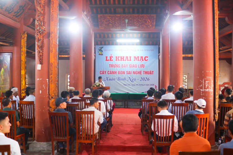 Khai mạc trưng bày giao lưu cây cảnh bon sai nghệ thuật xuân Bính Ngọ 2026- Ảnh 4.