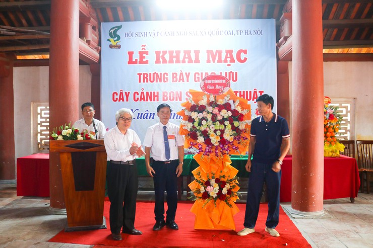 Khai mạc trưng bày giao lưu cây cảnh bon sai nghệ thuật xuân Bính Ngọ 2026- Ảnh 7.