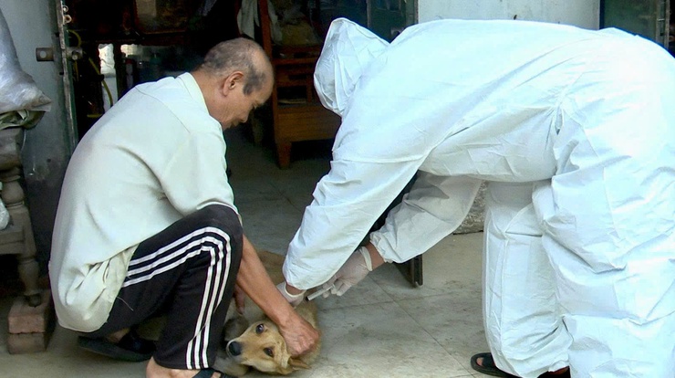 Tây Phương triển khai tiêm vắc xin phòng bệnh dại cho đàn chó, mèo trên địa bàn xã- Ảnh 1.