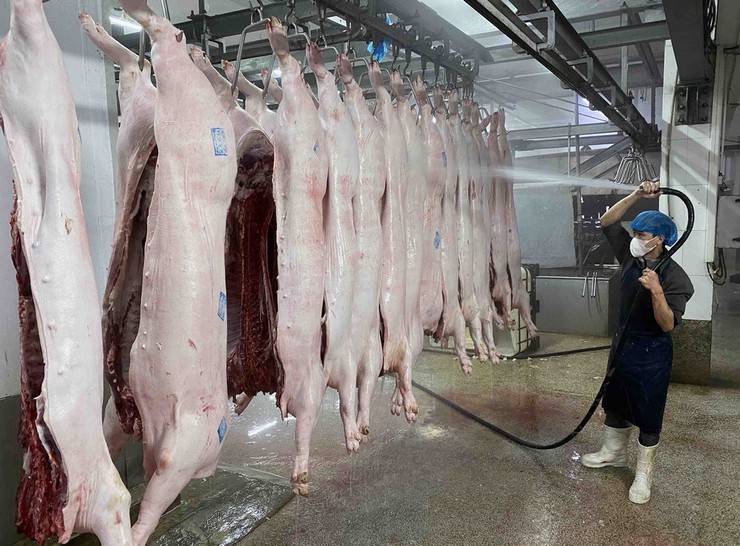 UBND xã Hoà Phú Thông báo về việc chấm dứt hoạt động các cơ sở giết mổ nhỏ lẻ không đủ điều kiện và các điều kiện kinh doanh, sơ chế, chế biến động vật, sản phẩm động vật theo quy định của pháp luật trên địa bàn xã- Ảnh 1.