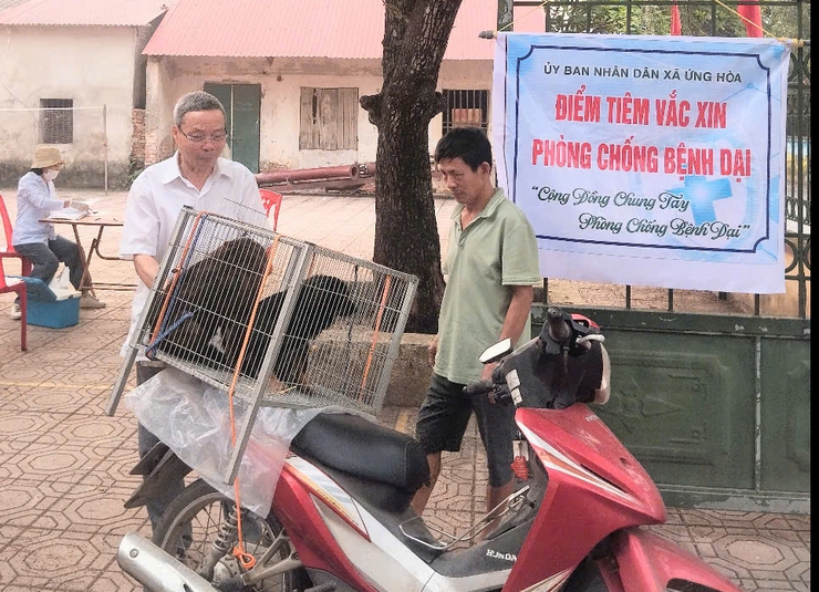 TIÊM VẮC XIN DẠI CHO CHÓ, MÈO – BIỆN PHÁP HIỆU QUẢ BẢO VỆ SỨC KHỎE CỘNG ĐỒNG.- Ảnh 1.