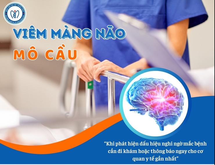 Phòng chống bệnh viêm màng não do não mô cầu- Ảnh 1.