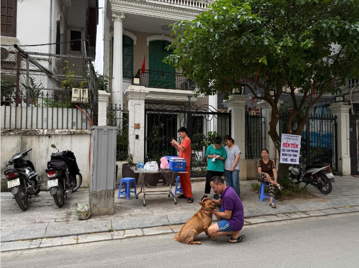 Thực hiện nghiêm quy định nuôi chó, mèo để phòng, chống bệnh dại- Ảnh 1.