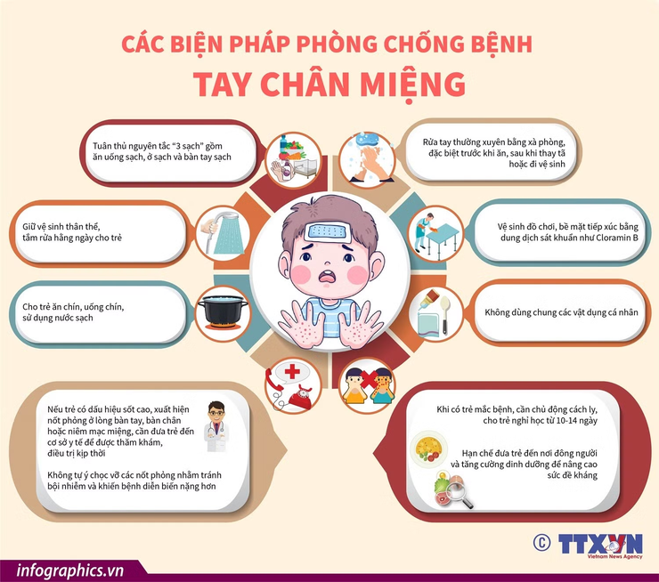 TĂNG CƯỜNG VỆ SINH MÔI TRƯỜNG, CHỦ ĐỘNG PHÒNG, CHỐNG BỆNH TAY CHÂN MIỆNG- Ảnh 1.