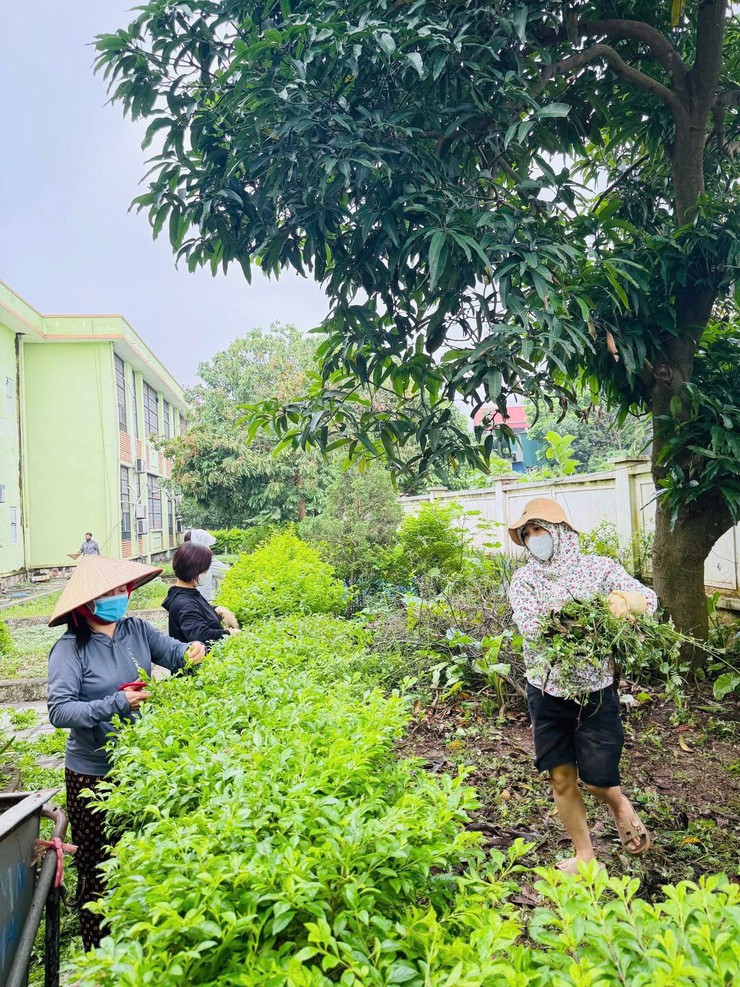 Chủ động phòng, chống dịch bệnh: Yên Nghĩa triển khai cao điểm vệ sinh, khử khuẩn trường lớp- Ảnh 4.