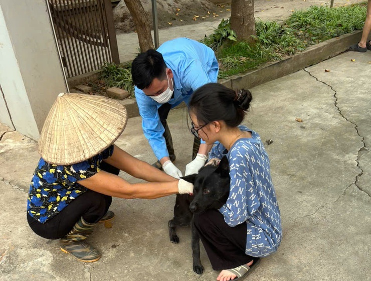Chương Mỹ tiêm phòng vắc xin cho đàn gia súc, gia cầm đợt 1 năm 2026- Ảnh 2.