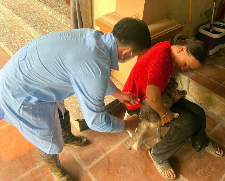 Chương Mỹ tiêm phòng vắc xin cho đàn gia súc, gia cầm đợt 1 năm 2026- Ảnh 4.