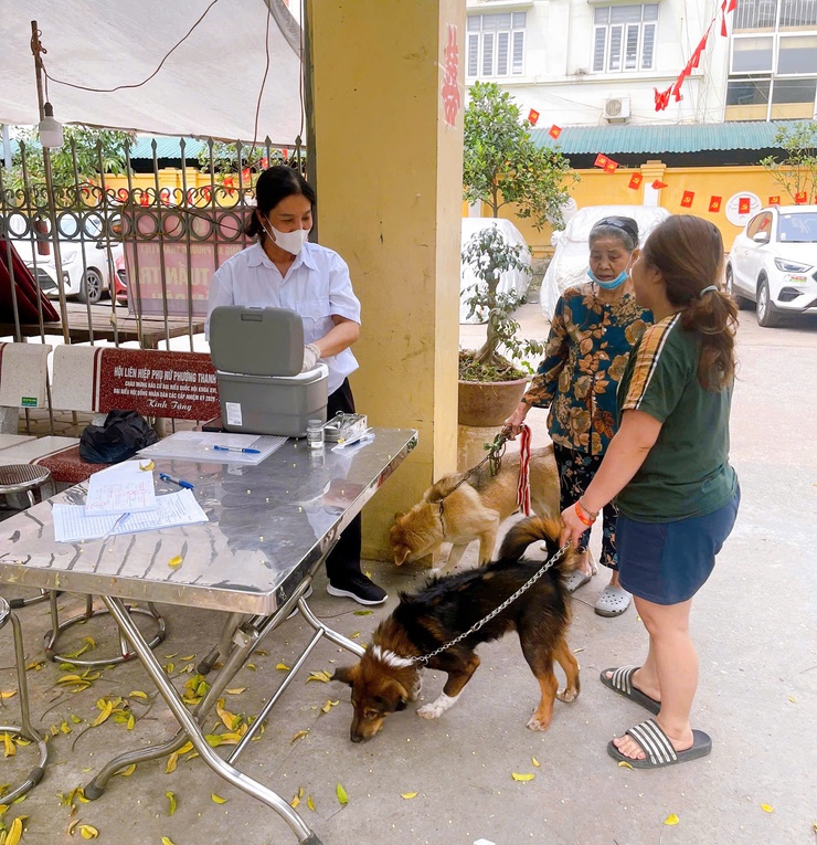 Phường Thanh Liệt tổ chức tiêm phòng dại cho đàn chó, mèo an toàn, hiệu quả- Ảnh 1.