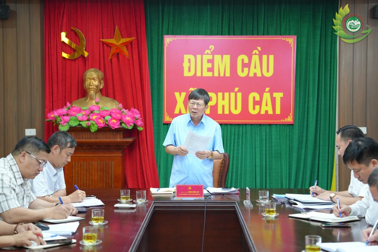 Đảng ủy xã Phú Cát họp Ban Chỉ đạo, quyết liệt đẩy nhanh tiến độ giải phóng mặt bằng các dự án trọng điểm- Ảnh 2.