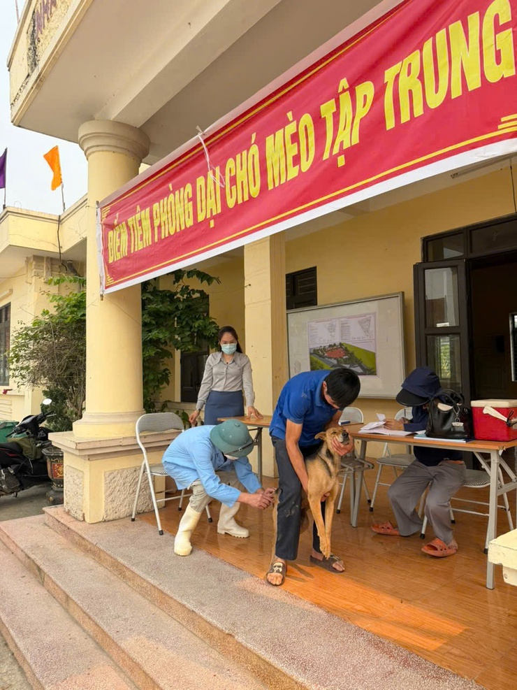 XÃ NỘI BÀI TRIỂN KHAI TIÊM PHÒNG BỆNH DẠI CHO ĐÀN CHÓ, MÈO NĂM 2026- Ảnh 1.