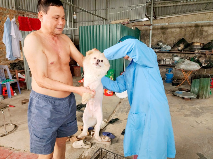 XÃ THẠCH THẤT TRIỂN KHAI TIÊM VẮC XIN PHÒNG BỆNH DẠI CHO ĐÀN CHÓ, MÈO ĐỢT 1 NĂM 2026- Ảnh 6.