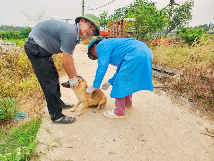 XÃ THẠCH THẤT TRIỂN KHAI TIÊM VẮC XIN PHÒNG BỆNH DẠI CHO ĐÀN CHÓ, MÈO ĐỢT 1 NĂM 2026- Ảnh 1.