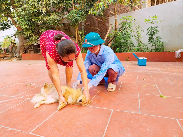 XÃ THẠCH THẤT TRIỂN KHAI TIÊM VẮC XIN PHÒNG BỆNH DẠI CHO ĐÀN CHÓ, MÈO ĐỢT 1 NĂM 2026- Ảnh 3.