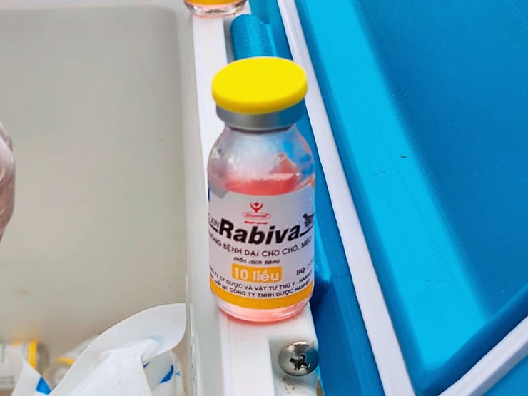 XÃ THẠCH THẤT TRIỂN KHAI TIÊM VẮC XIN PHÒNG BỆNH DẠI CHO ĐÀN CHÓ, MÈO ĐỢT 1 NĂM 2026- Ảnh 7.