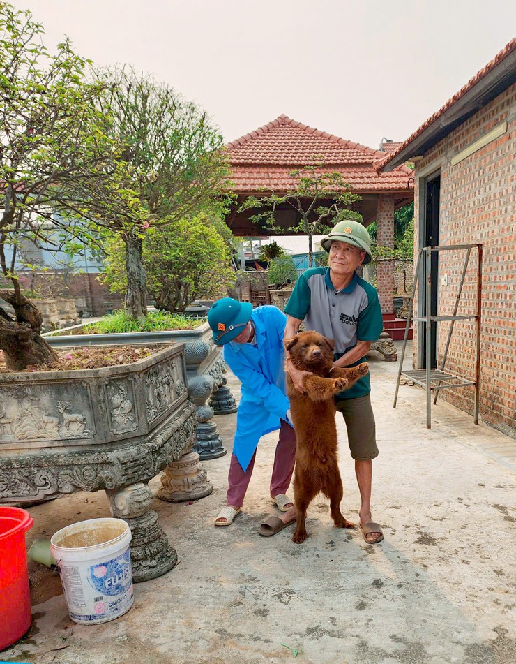 XÃ THẠCH THẤT TRIỂN KHAI TIÊM VẮC XIN PHÒNG BỆNH DẠI CHO ĐÀN CHÓ, MÈO ĐỢT 1 NĂM 2026- Ảnh 2.
