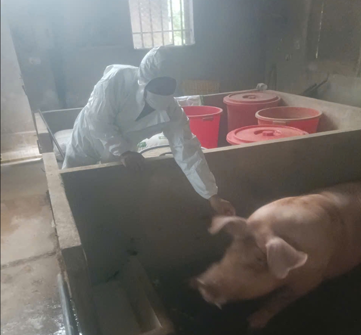 THÔNG BÁO- Ảnh 1.