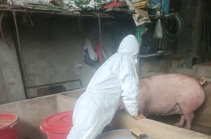 THÔNG BÁO- Ảnh 2.