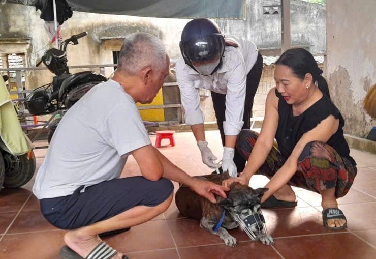 Đoài Phương tiêm phòng vắc xin dại cho đàn chó, mèo năm 2026- Ảnh 1.