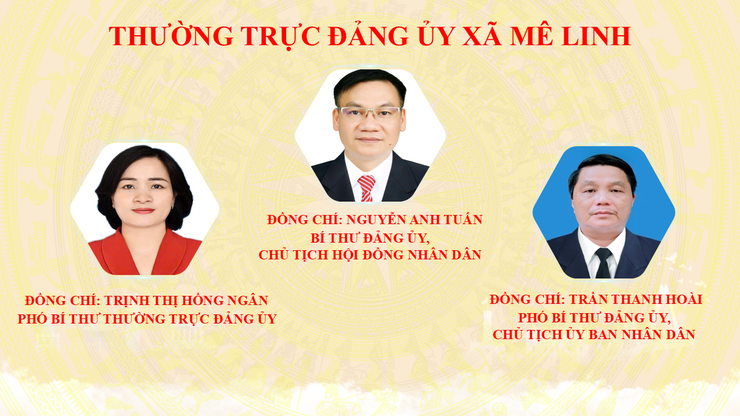 Giới thiệu bộ máy tổ chức của xã Mê Linh- Ảnh 1.
