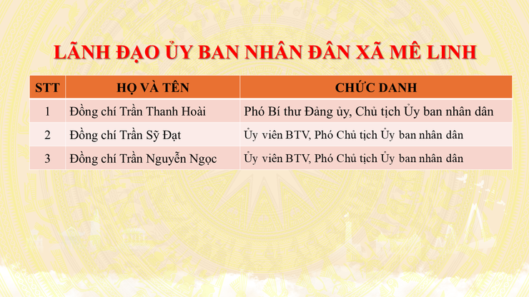 Giới thiệu bộ máy tổ chức của xã Mê Linh- Ảnh 5.