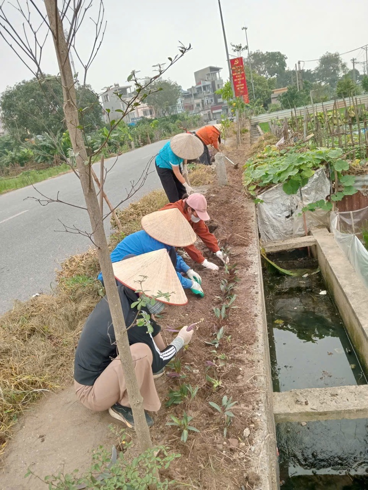 Chi hội Phụ nữ thôn Mạnh Tân – Điểm sáng trong phong trào bảo vệ môi trường- Ảnh 3.