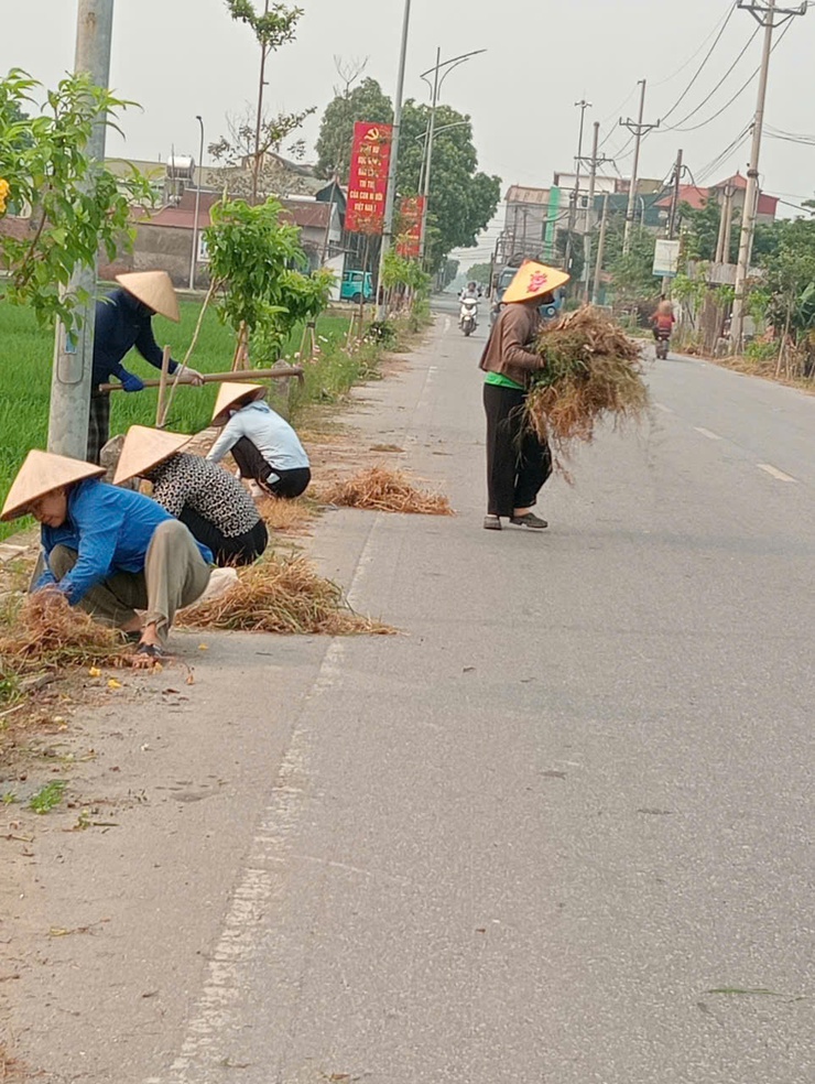 Chi hội Phụ nữ thôn Mạnh Tân – Điểm sáng trong phong trào bảo vệ môi trường- Ảnh 4.
