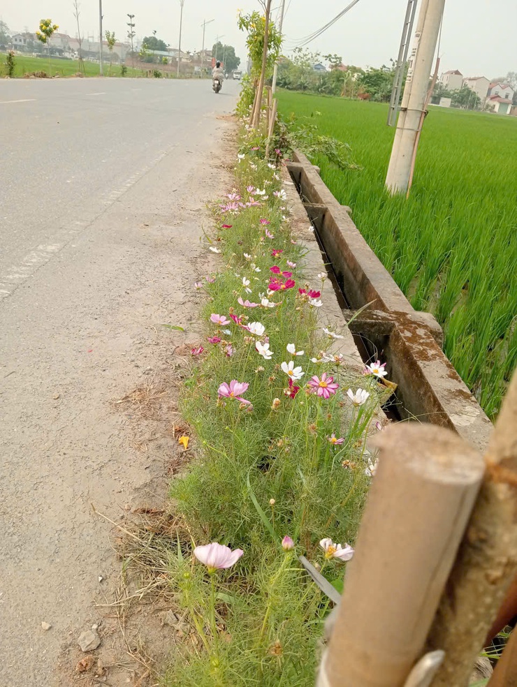 Chi hội Phụ nữ thôn Mạnh Tân – Điểm sáng trong phong trào bảo vệ môi trường- Ảnh 5.