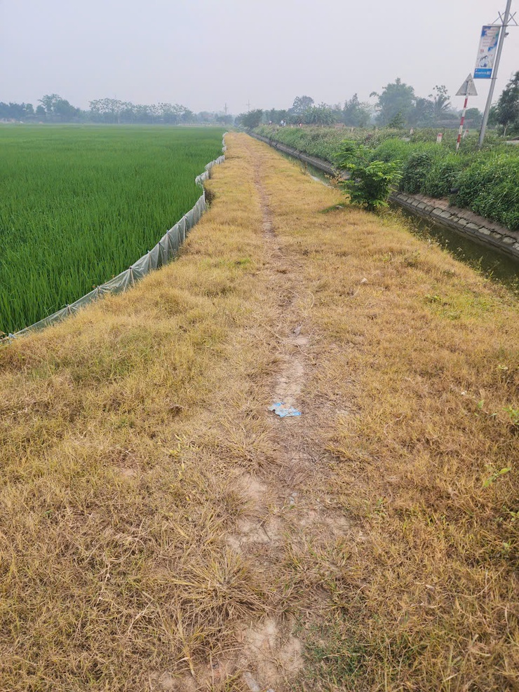 Bài tuyên truyền về việc hạn chế sử dụng thuốc trừ cỏ cháy trên đồng ruộng- Ảnh 1.