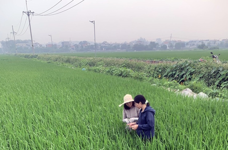 Phường Chương Mỹ khảo sát ứng dụng IoT trong nông nghiệp, kiểm tra sản xuất vụ xuân 2026- Ảnh 1.