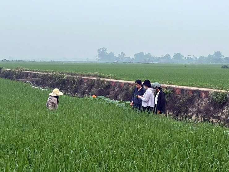 Phường Chương Mỹ khảo sát ứng dụng IoT trong nông nghiệp, kiểm tra sản xuất vụ xuân 2026- Ảnh 2.