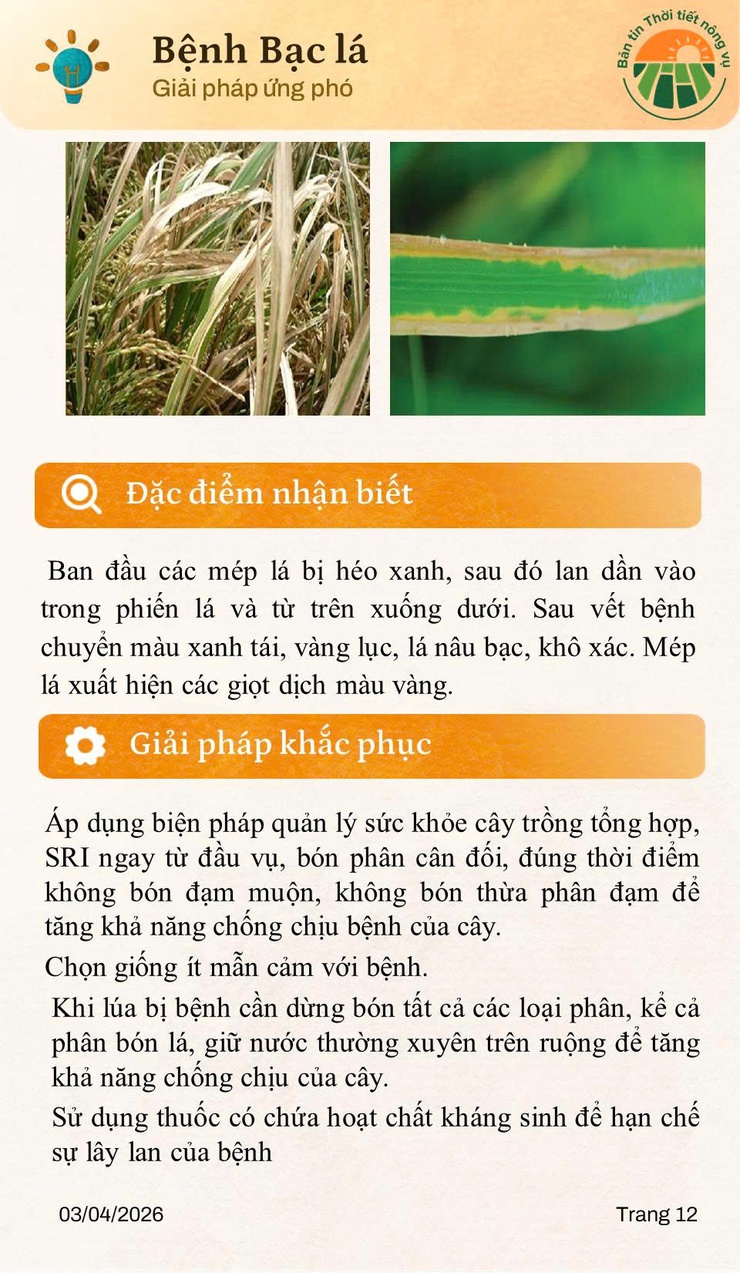 Bản tin thời tiết nông vụ tháng 4 năm 2026- Ảnh 12.