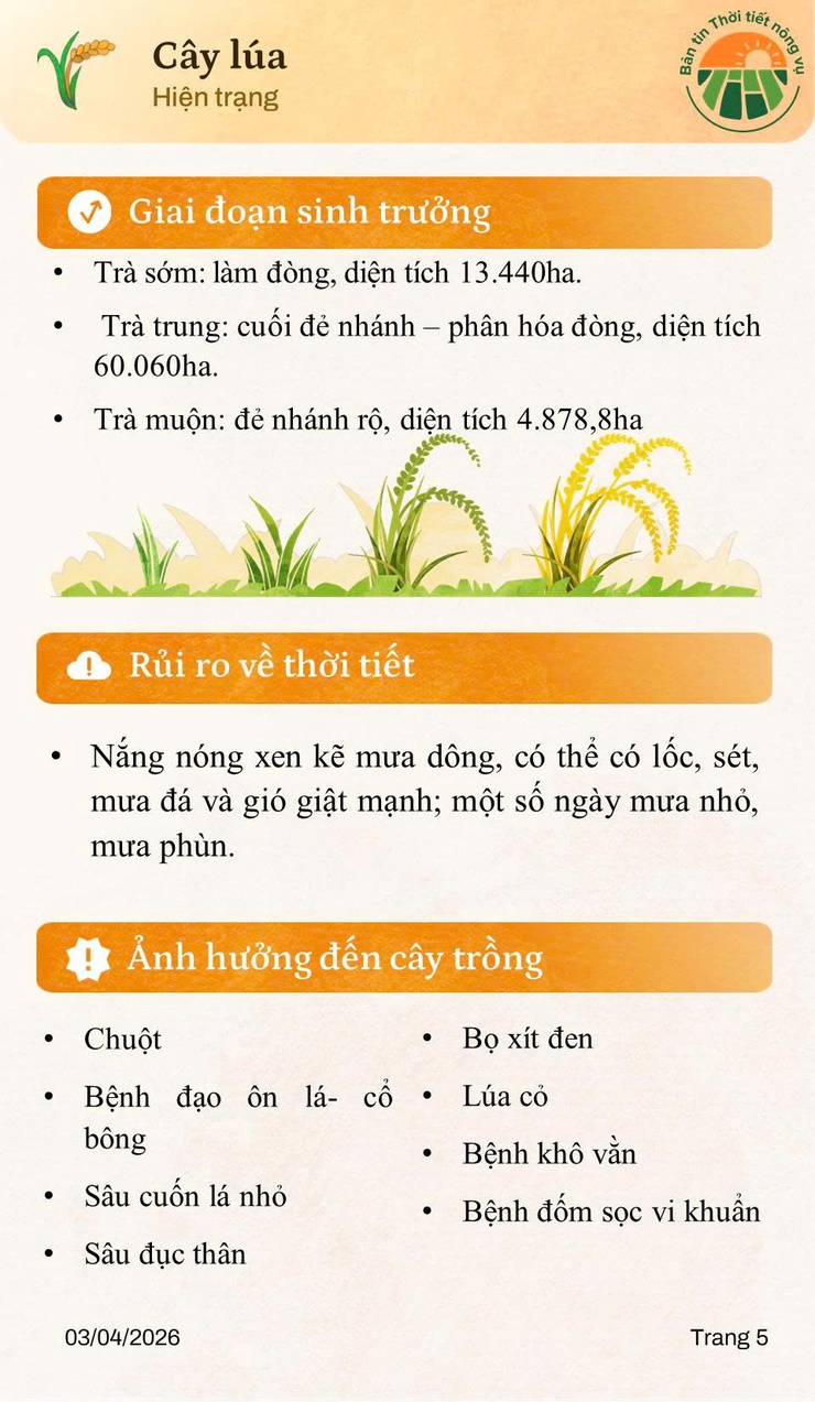 Bản tin thời tiết nông vụ tháng 4 năm 2026- Ảnh 5.