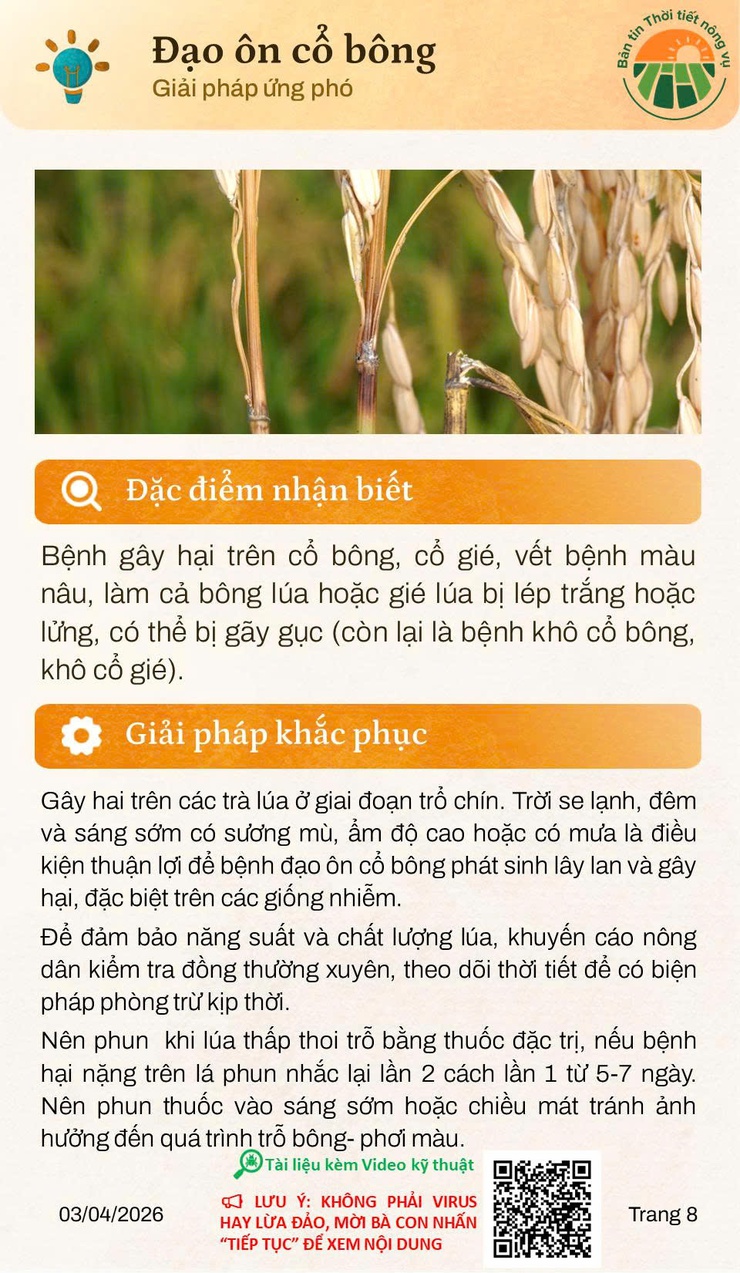 Bản tin thời tiết nông vụ tháng 4 năm 2026- Ảnh 8.