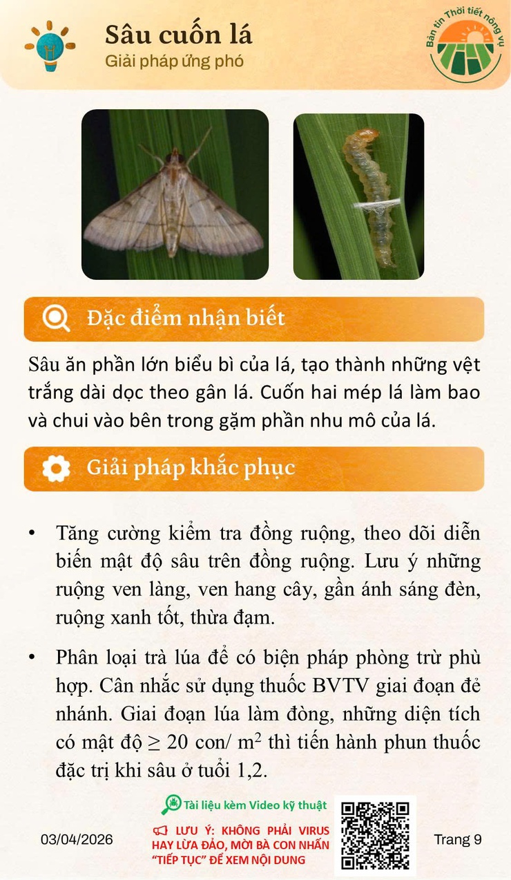 Bản tin thời tiết nông vụ tháng 4 năm 2026- Ảnh 9.