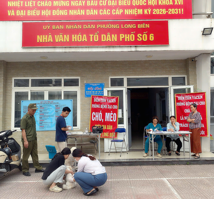 UBND phường Long Biên triển khai tiêm phòng vắc xin Dại cho đàn chó, mèo đợt 1 năm 2026- Ảnh 3.