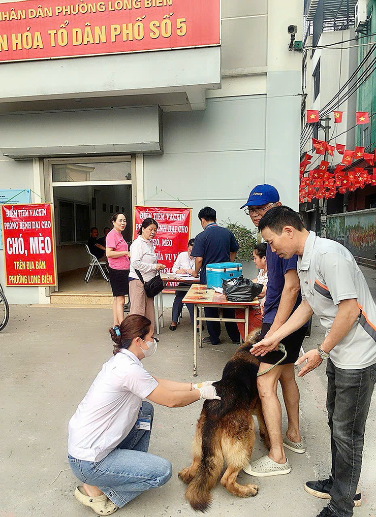 UBND phường Long Biên triển khai tiêm phòng vắc xin Dại cho đàn chó, mèo đợt 1 năm 2026- Ảnh 2.