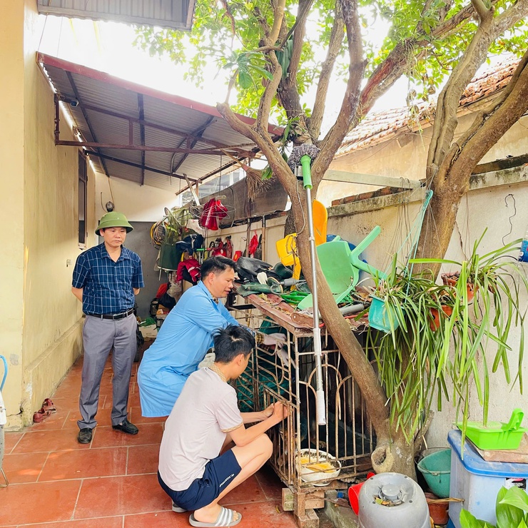 Phúc Thọ đạt 100% kế hoạch tiêm phòng vắc xin cho đàn vật nuôi- Ảnh 3.