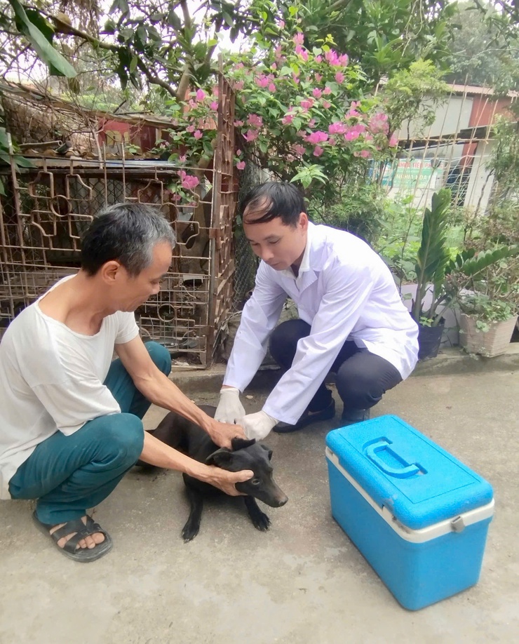 Phúc Thọ đạt 100% kế hoạch tiêm phòng vắc xin cho đàn vật nuôi- Ảnh 2.