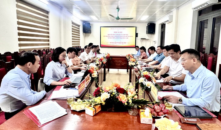 Ban Tổ chức Thành ủy Hà Nội làm việc với các xã Hát Môn, Phúc Thọ, Phúc Lộc- Ảnh 1.