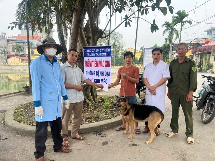 TRUNG TÂM DỊCH VỤ TỔNG HỢP TRIỂN KHAI TIÊM PHÒNG VẮC XIN DẠI CHO ĐÀN CHÓ, MÈO TRÊN ĐỊA BÀN XÃ ỨNG THIÊN ĐỢT I NĂM 2026- Ảnh 1.