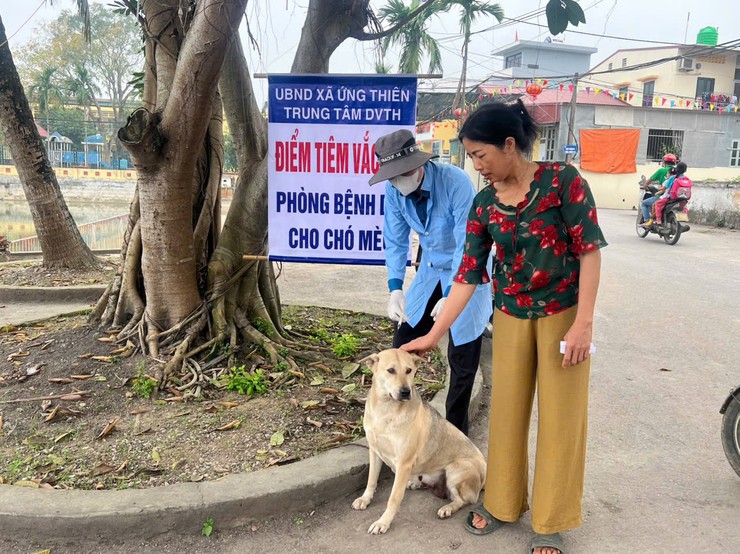TRUNG TÂM DỊCH VỤ TỔNG HỢP TRIỂN KHAI TIÊM PHÒNG VẮC XIN DẠI CHO ĐÀN CHÓ, MÈO TRÊN ĐỊA BÀN XÃ ỨNG THIÊN ĐỢT I NĂM 2026- Ảnh 2.