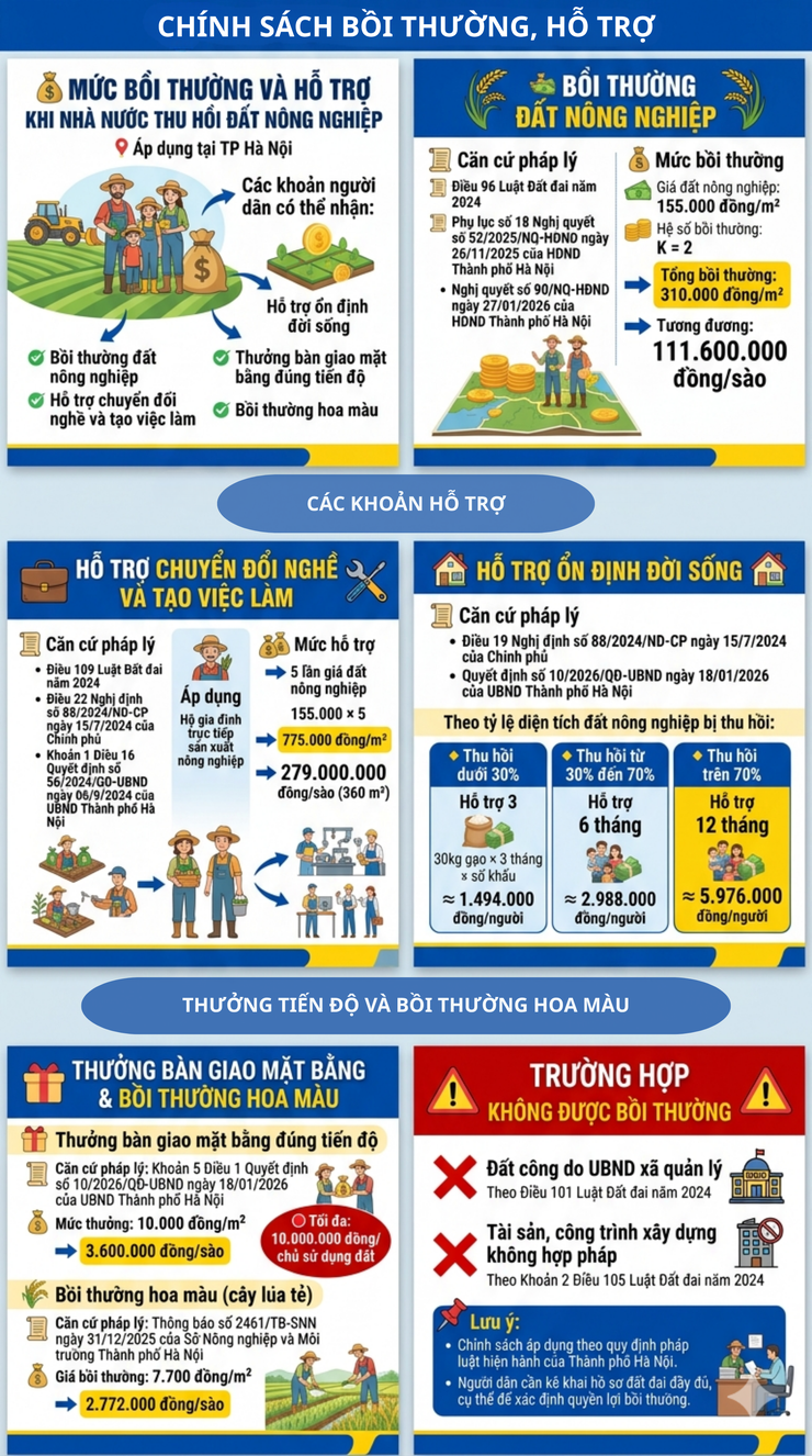 CHÍNH SÁCH BỒI THƯỜNG, HỖ TRỢ- Ảnh 1.